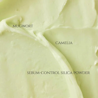 Beauty Of Joseon Matte Sun Stick Mugwort + Camilia (Spf 50+ Pa++++) - 18gm